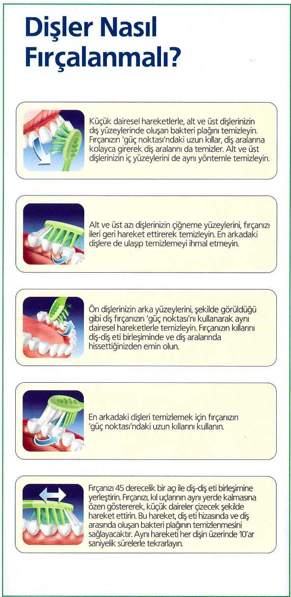 dişler nasıl fırçalanır