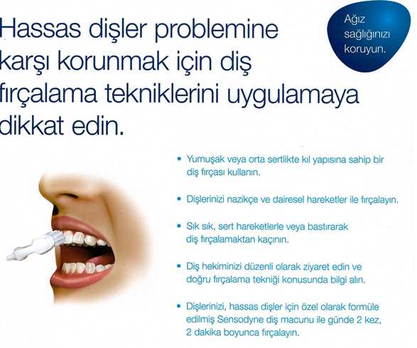 fırçalama teknikleri